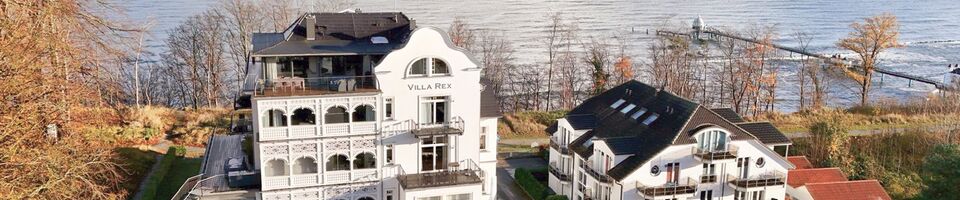 Villa Rex Muschel