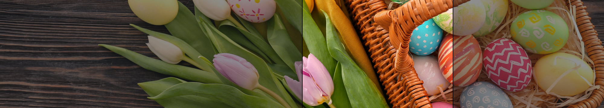 Ostern auf Rügen – Ferienwohnung am Meer